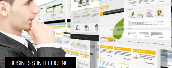 Business Intelligence