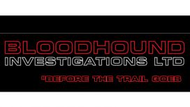 Bloodhound Investigations